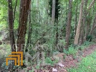 0 Willow Creek Road # 6 Property Photo 22