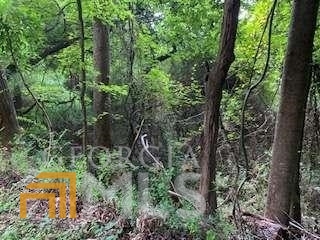 0 Willow Creek Road # 6 Property Photo 24