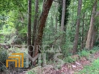 0 Willow Creek Road # 6 Property Photo 25