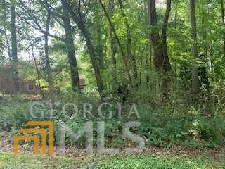 0 Willow Creek Road # 6 Property Photo 41