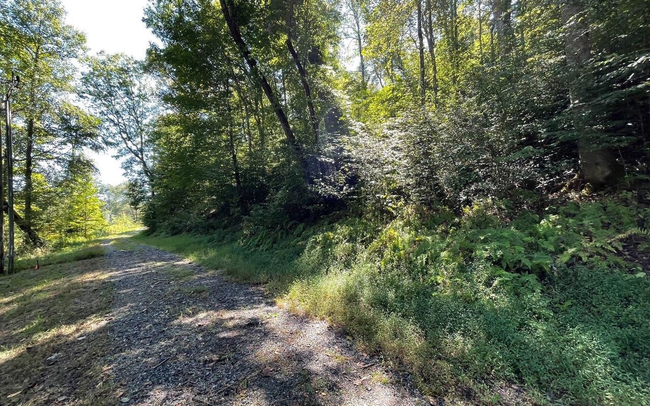 Lot 35 Hidden River Property Photo 4
