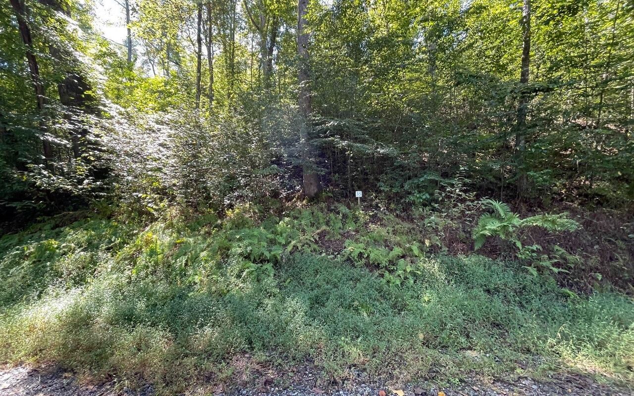 Lot 35 Hidden River Property Photo 5