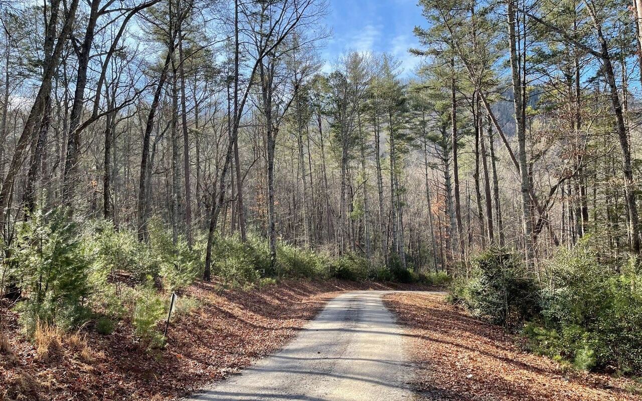 Lot 35 Hidden River Property Photo 19