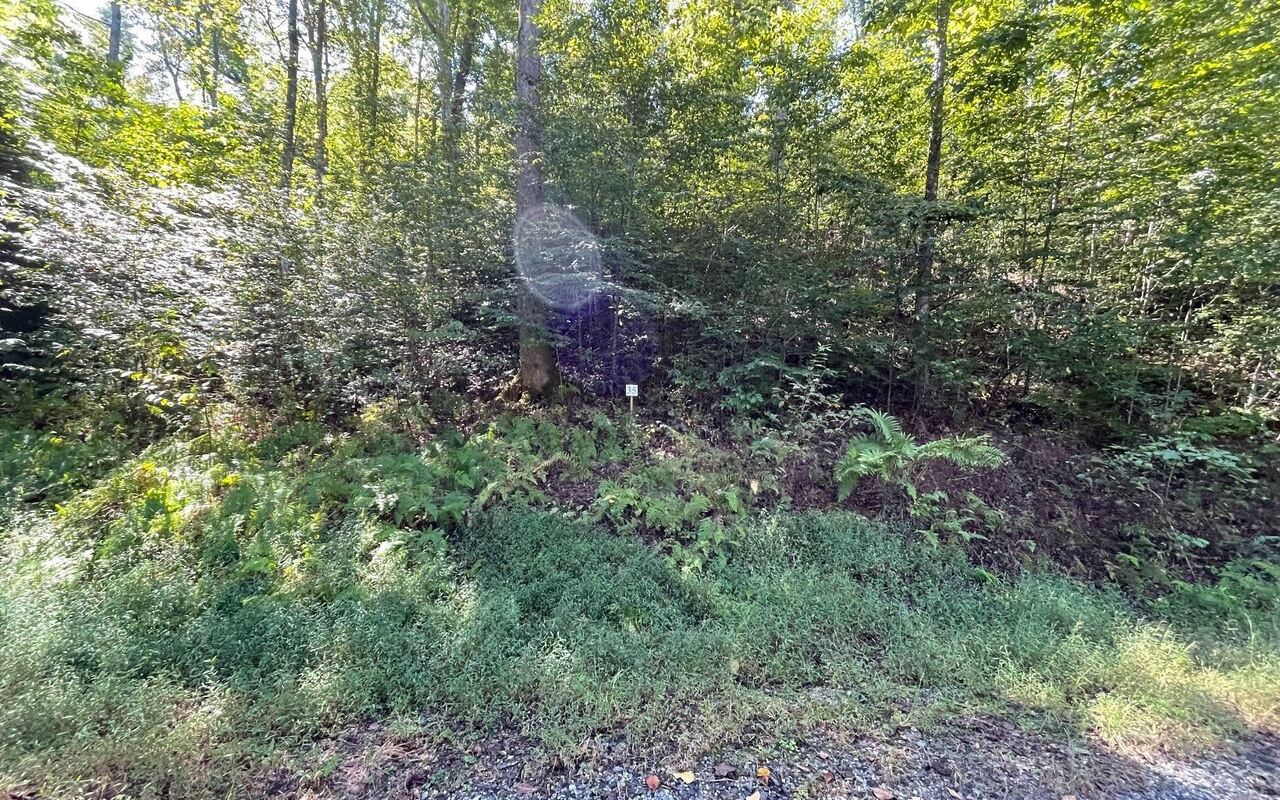 Lot 35 Hidden River Property Photo 32