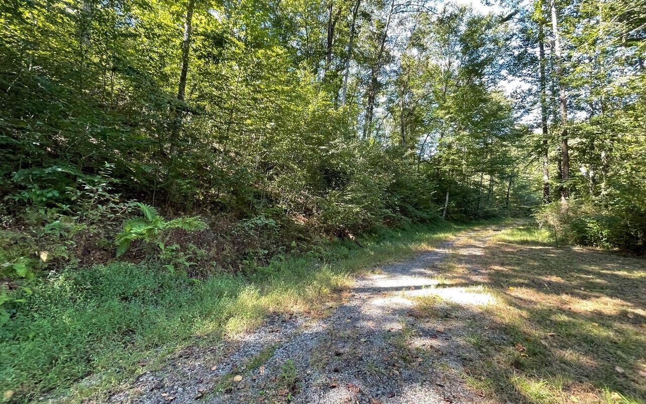 Lot 35 Hidden River Property Photo 33