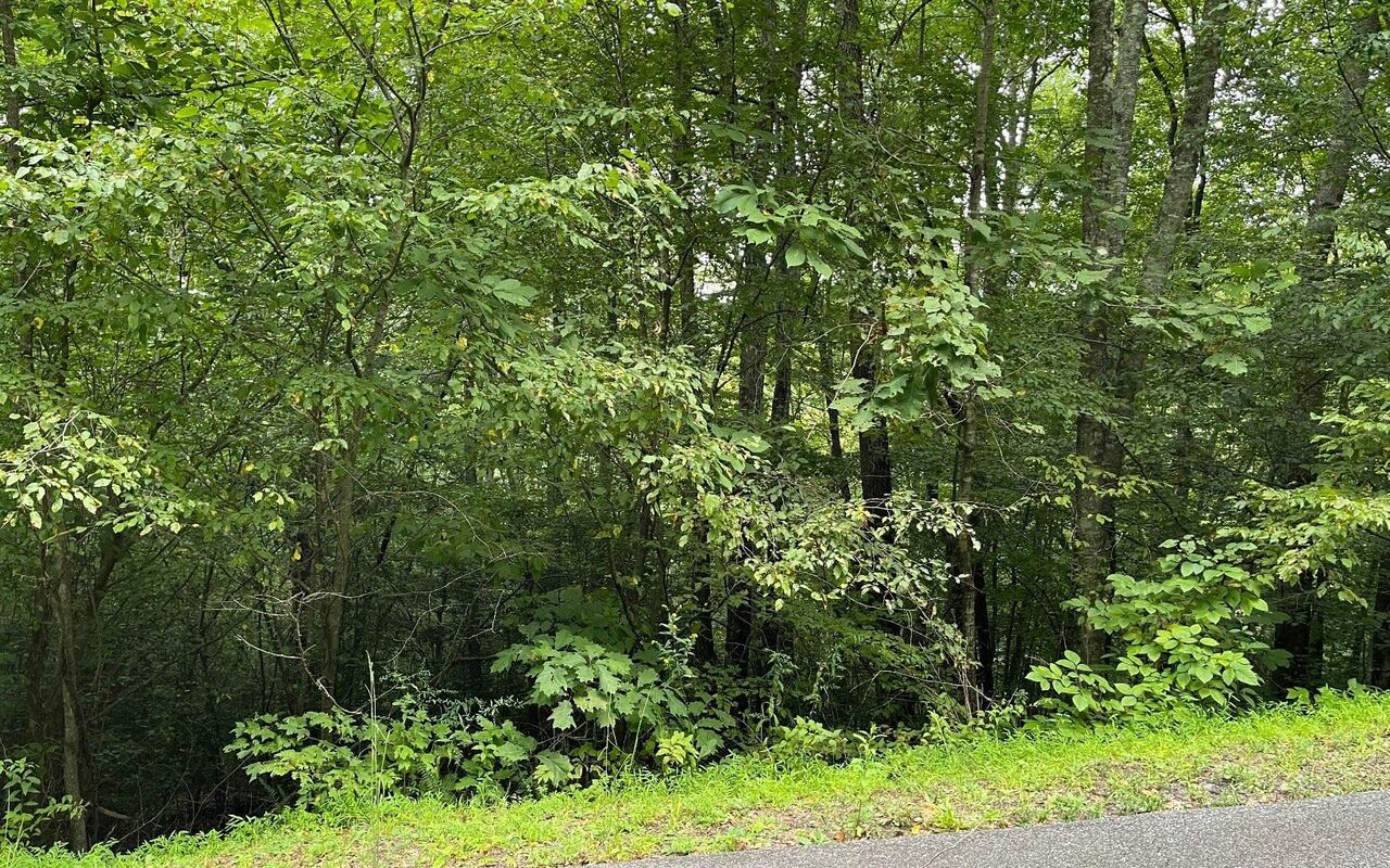 Lot 7 Bear Trail Property Photo 1