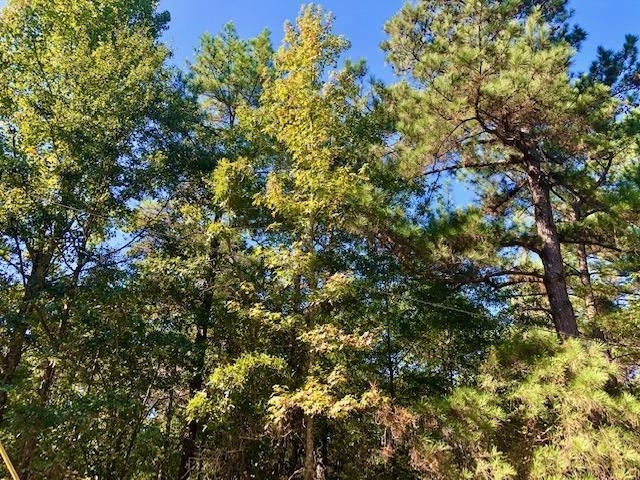 3221 Gordon Highway Property Photo 18