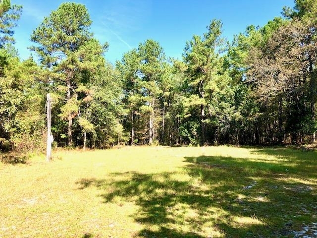 3221 Gordon Highway Property Photo 19