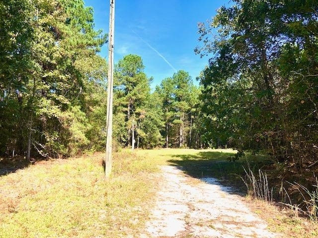 3221 Gordon Highway Property Photo 20
