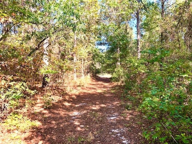 3221 Gordon Highway Property Photo 21