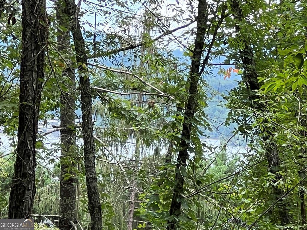 Lot 1 Buena Vista Drive Property Photo 1