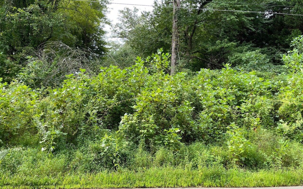 Lot 27 Sneaking Creek Drive Property Photo 2