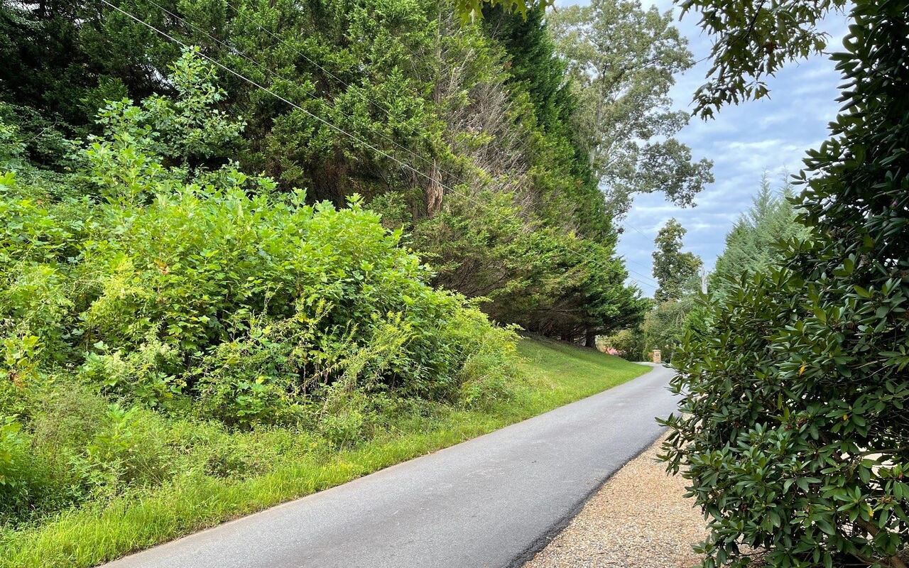 Lot 27 Sneaking Creek Drive Property Photo 3