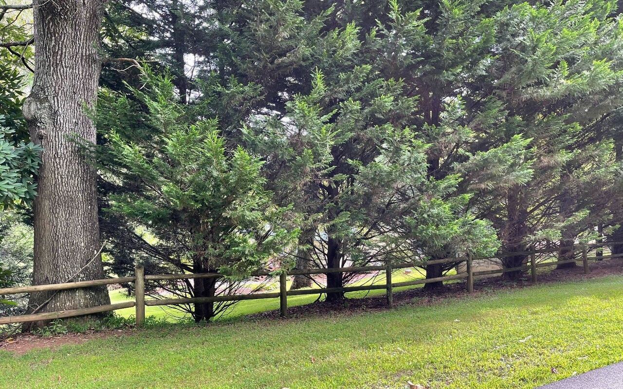 Lot 27 Sneaking Creek Drive Property Photo 6