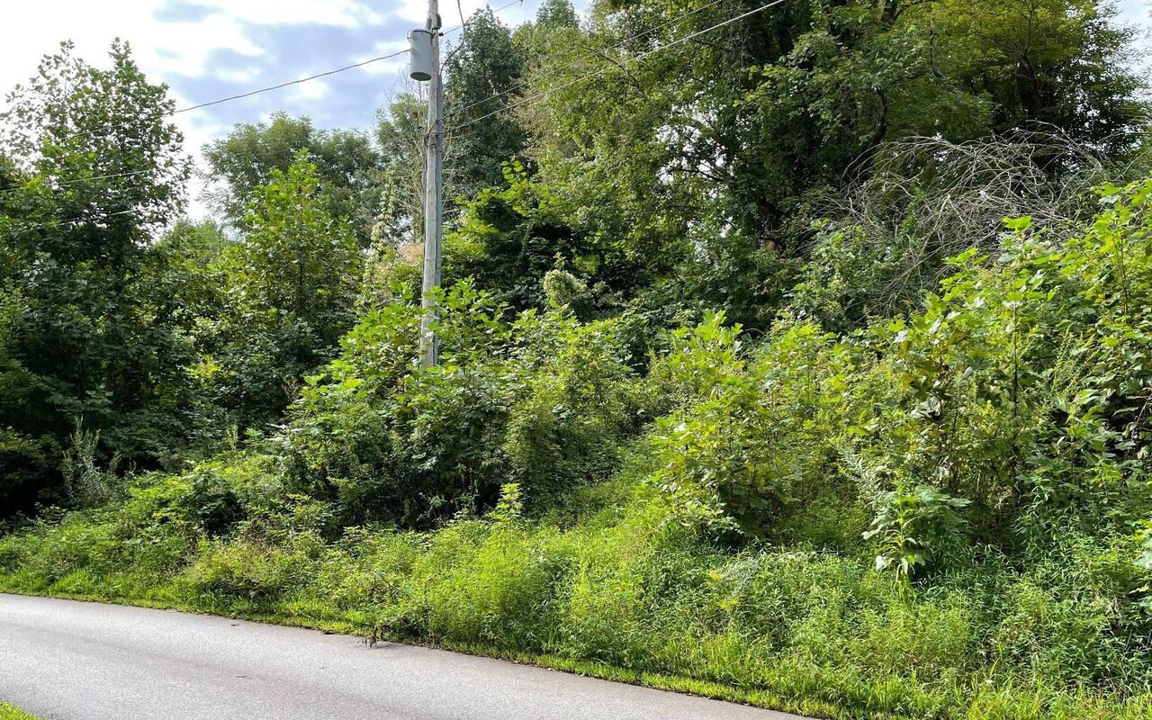 Lot 27 Sneaking Creek Drive Property Photo 8