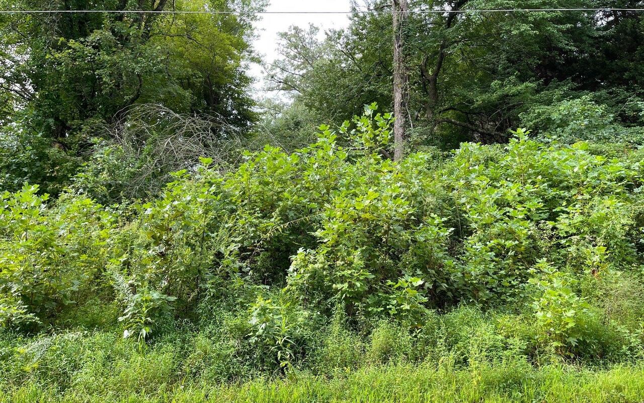 Lot 27 Sneaking Creek Drive Property Photo 9