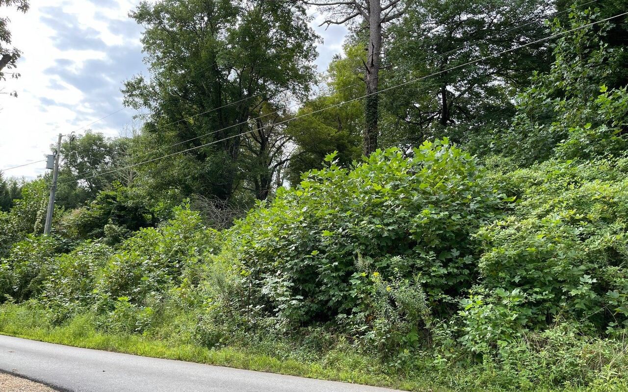 Lot 27 Sneaking Creek Drive Property Photo 10