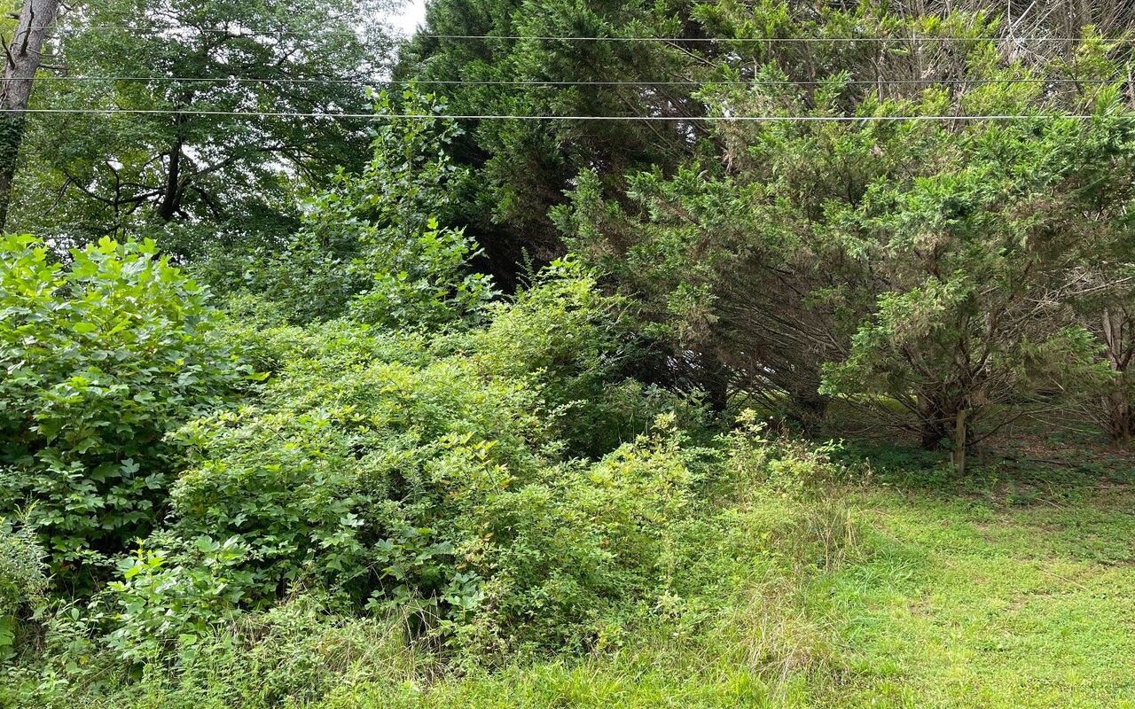 Lot 27 Sneaking Creek Drive Property Photo 11