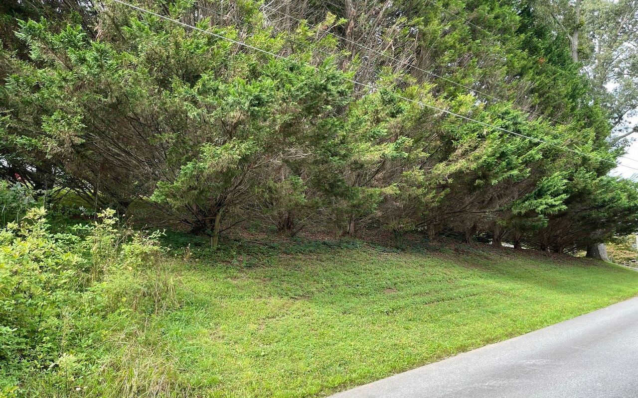 Lot 27 Sneaking Creek Drive Property Photo 12