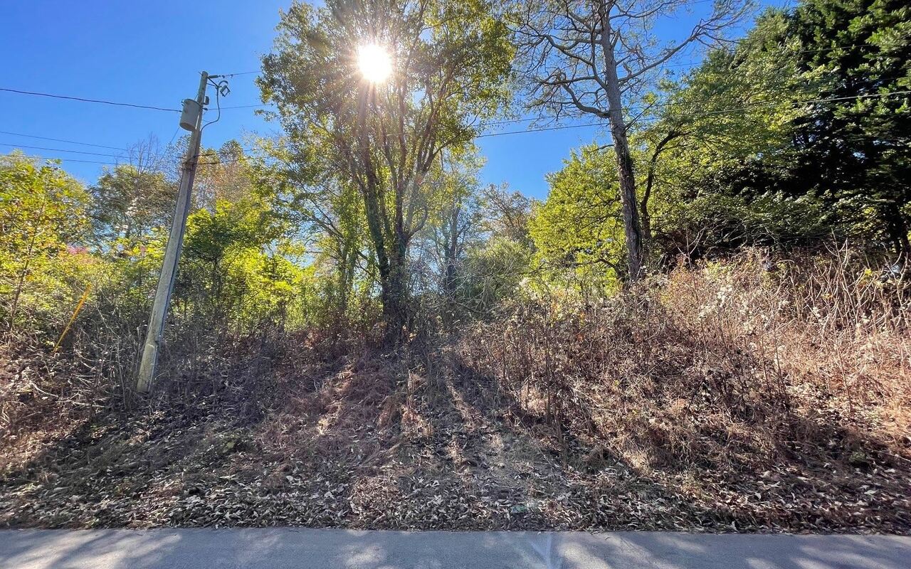 Lot 27 Sneaking Creek Drive Property Photo 16