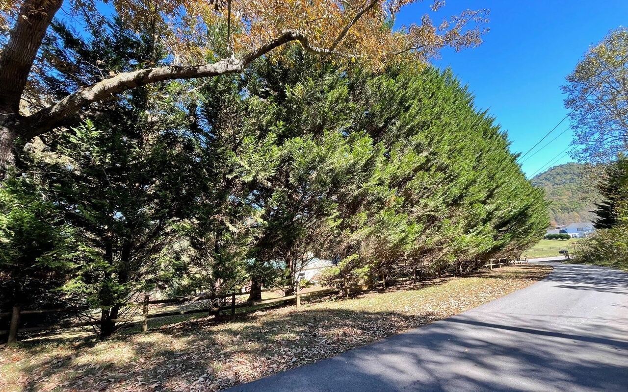 Lot 27 Sneaking Creek Drive Property Photo 18