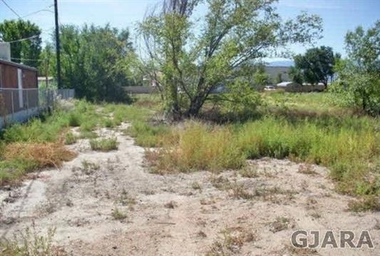 2907 Bunting Avenue Property Photo 1