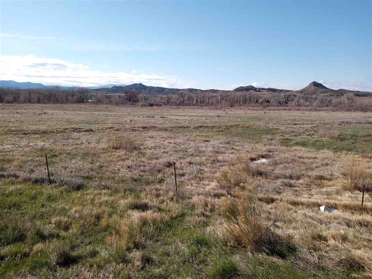 1421 River Frontage Road Property Photo 5