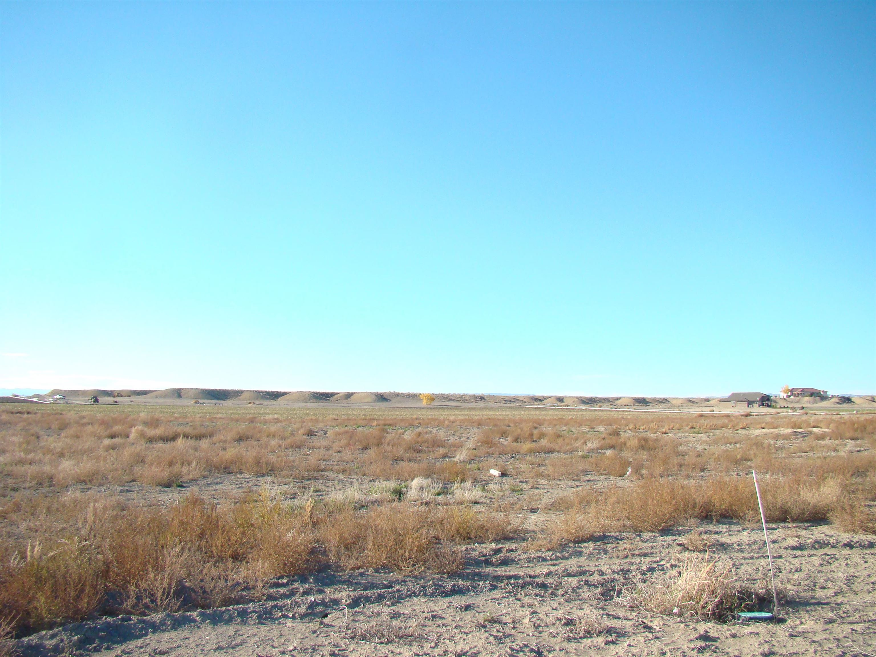 1645 Saddle Ring Court Property Photo 1
