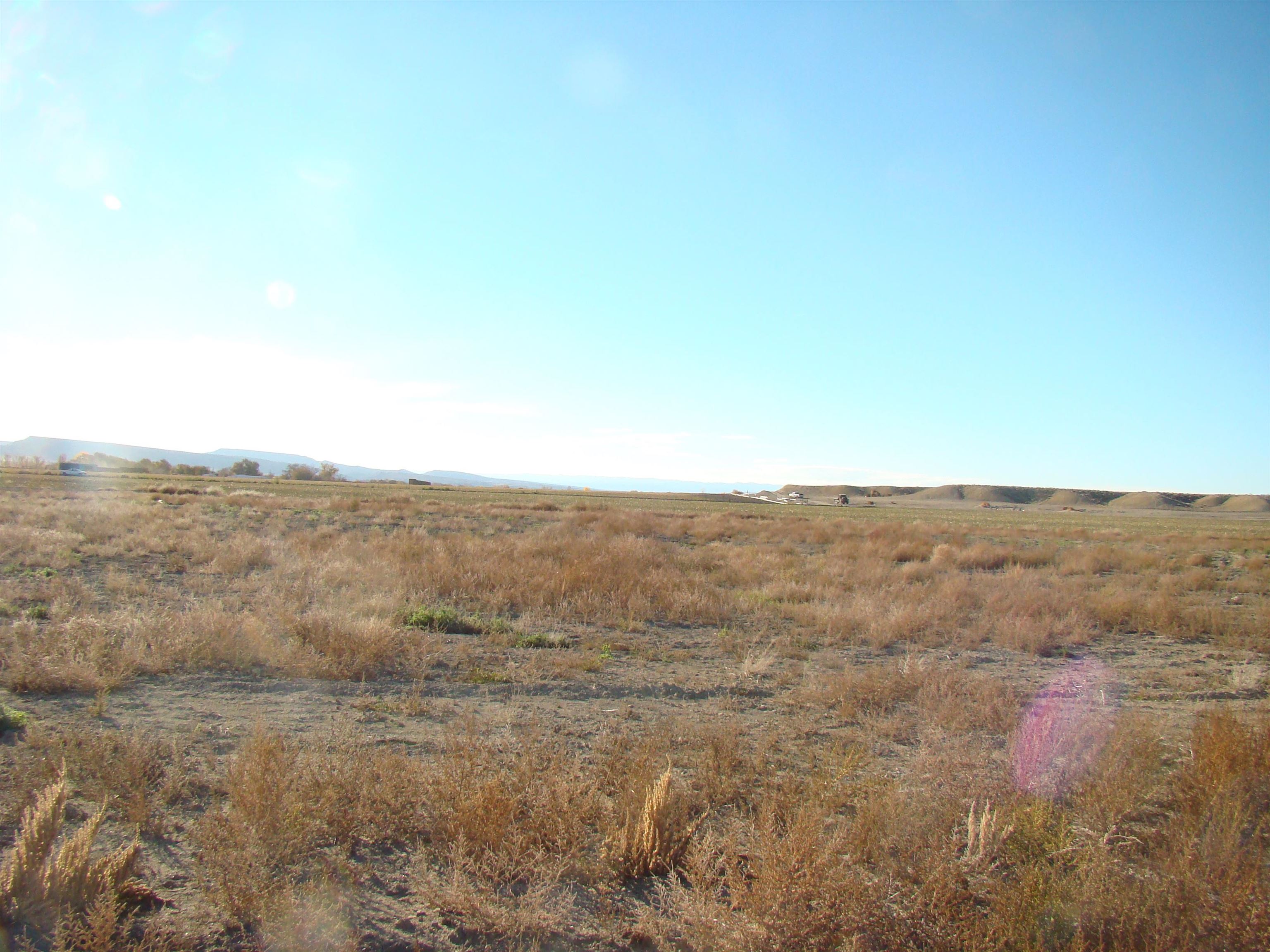 1645 Saddle Ring Court Property Photo 2