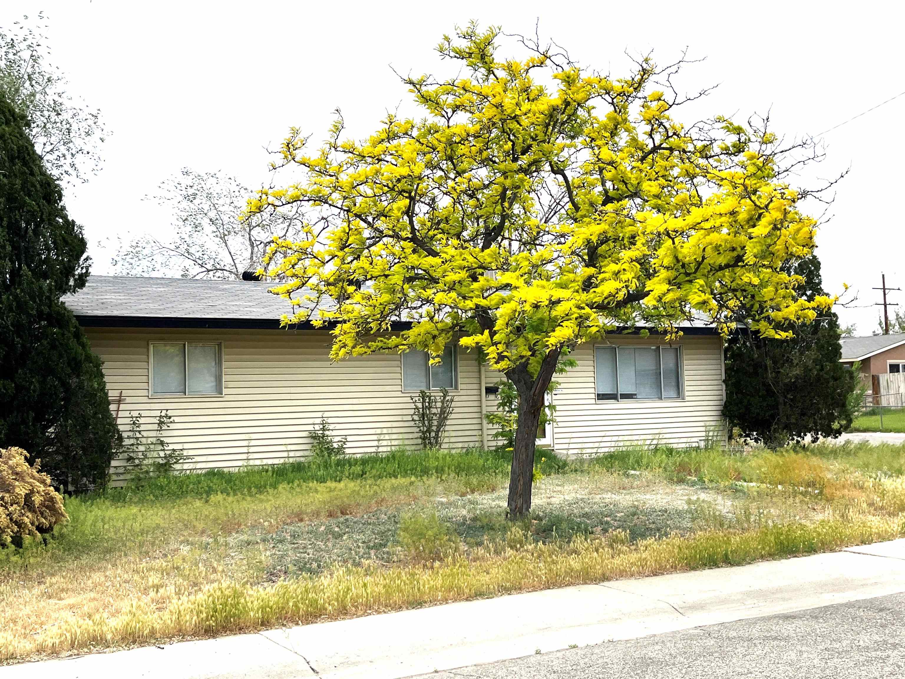 2021 Chipeta Avenue Property Photo 1
