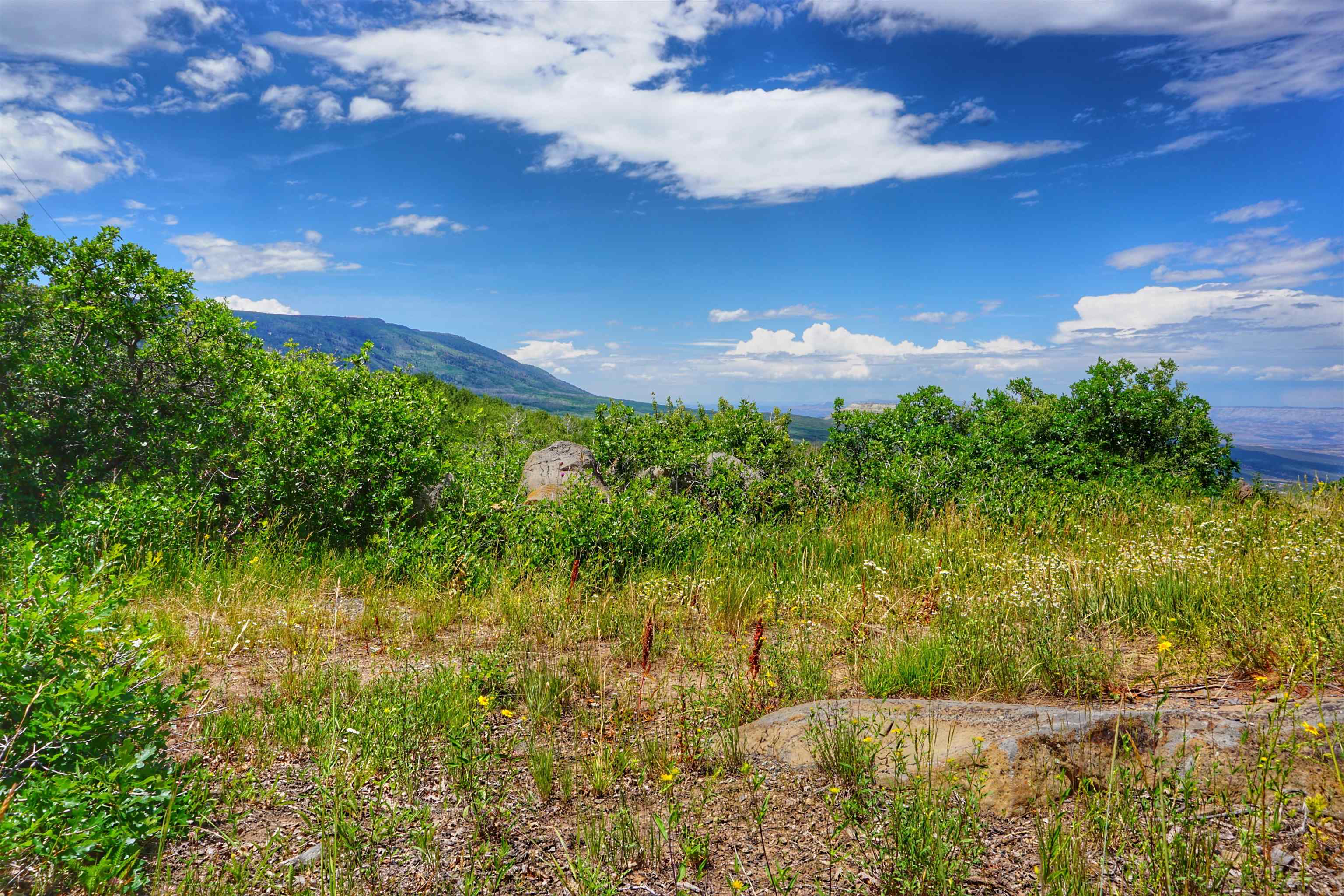 Tbd Golden Drive Property Photo 3