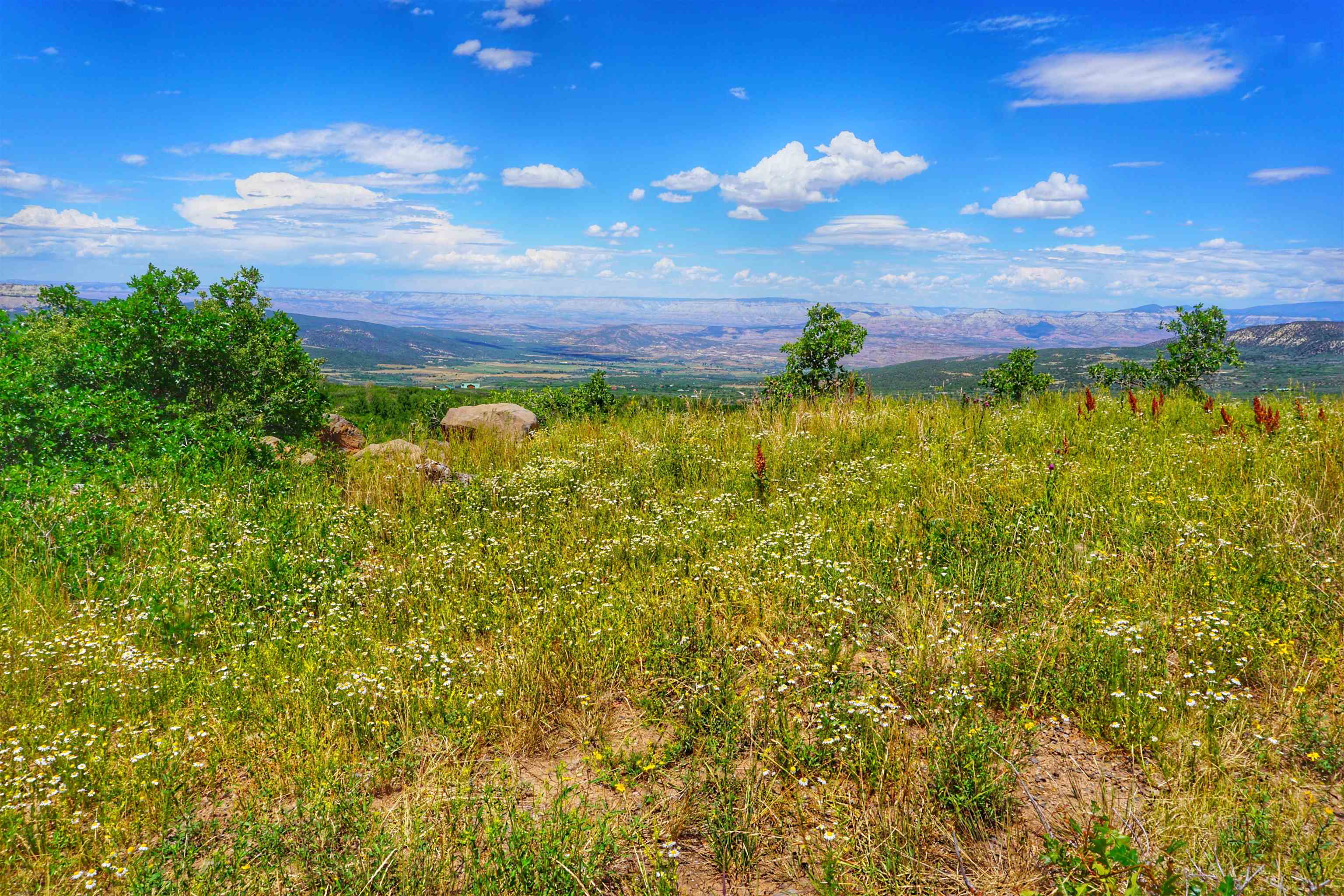 Tbd Golden Drive Property Photo 5