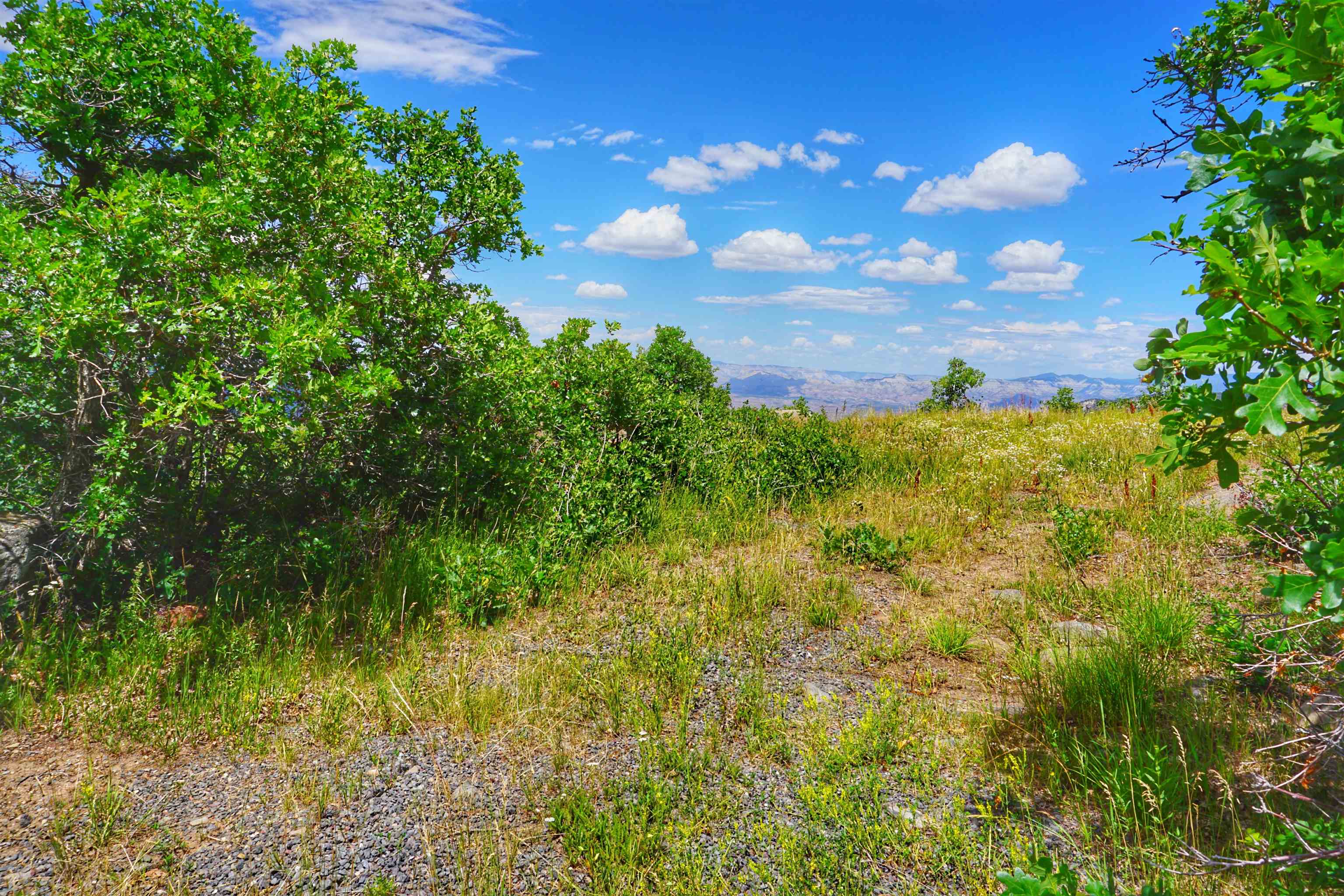 Tbd Golden Drive Property Photo 8