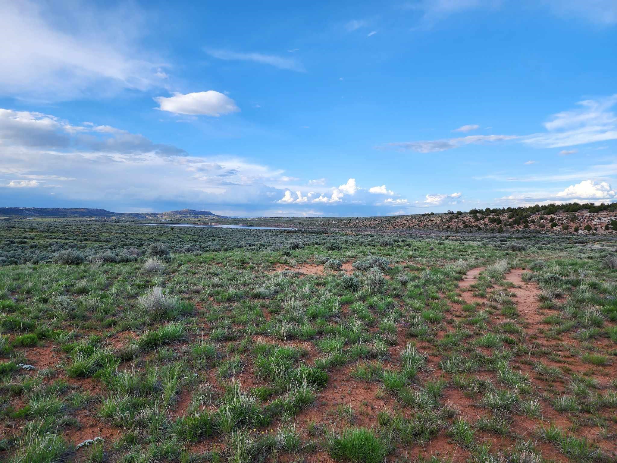 210 N Trail Canyon Drive Property Photo 13