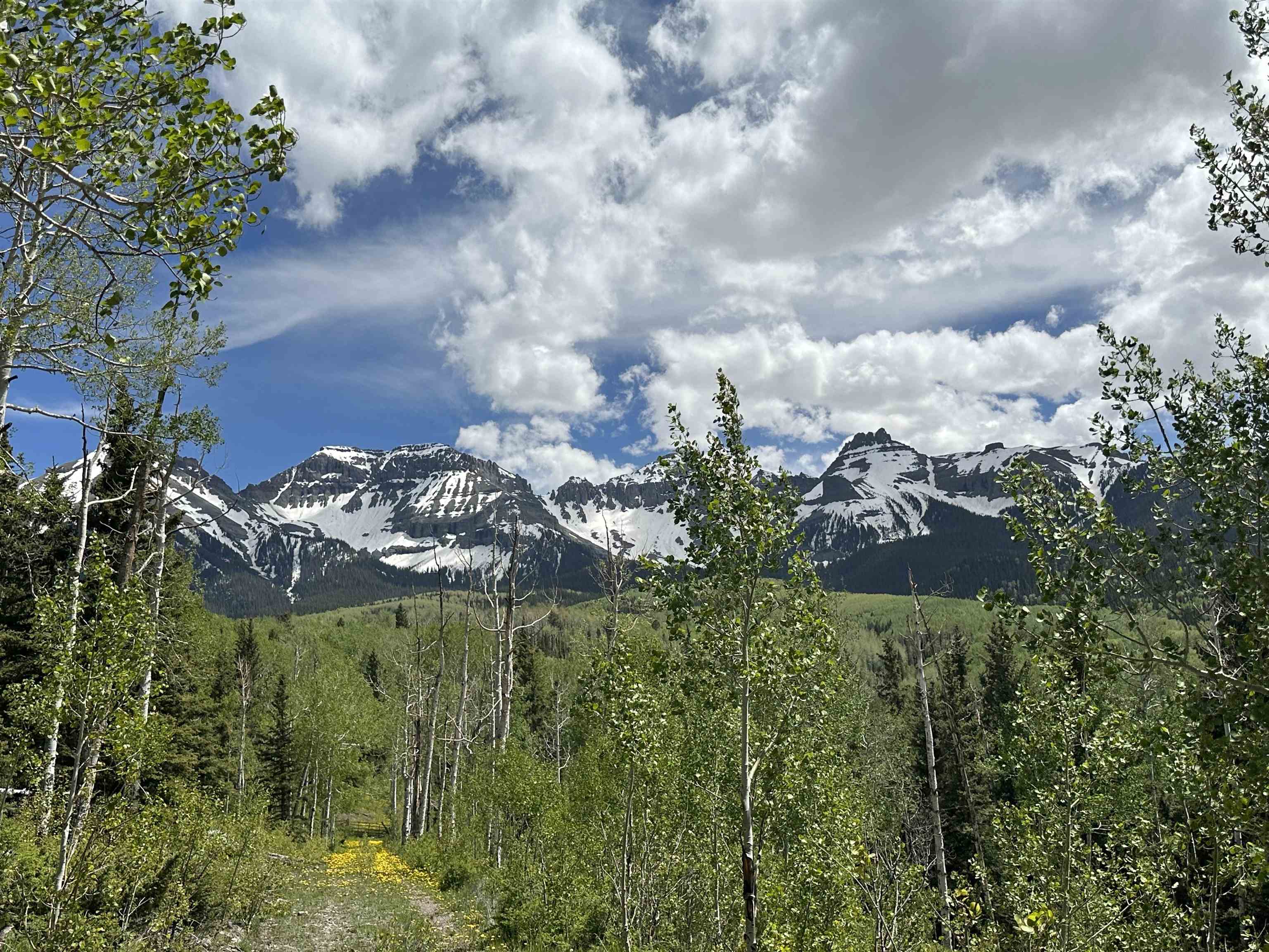 Tbd County Road 5 Property Photo 1