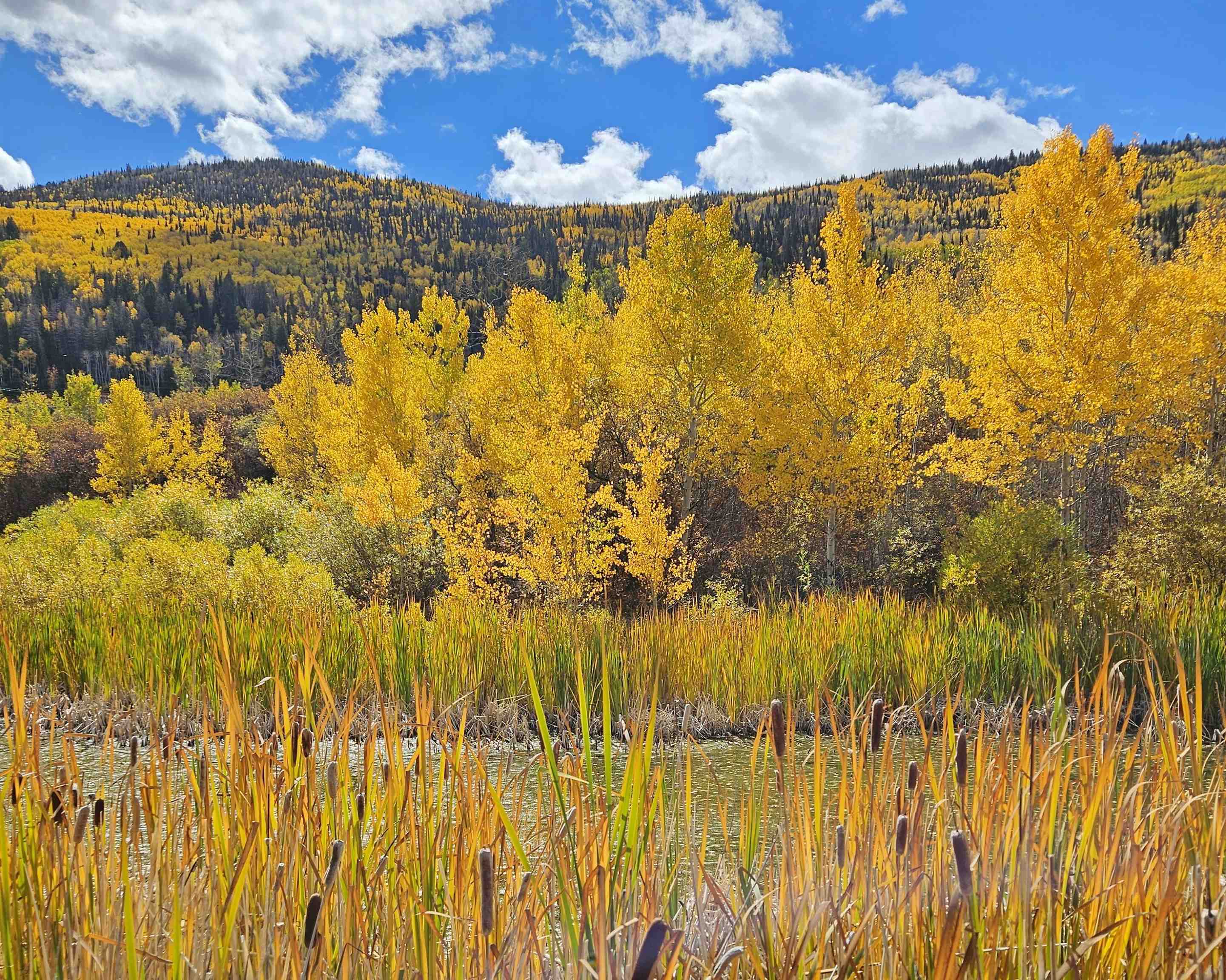 (parcel 6) Tbd Highway 65 Property Photo 1