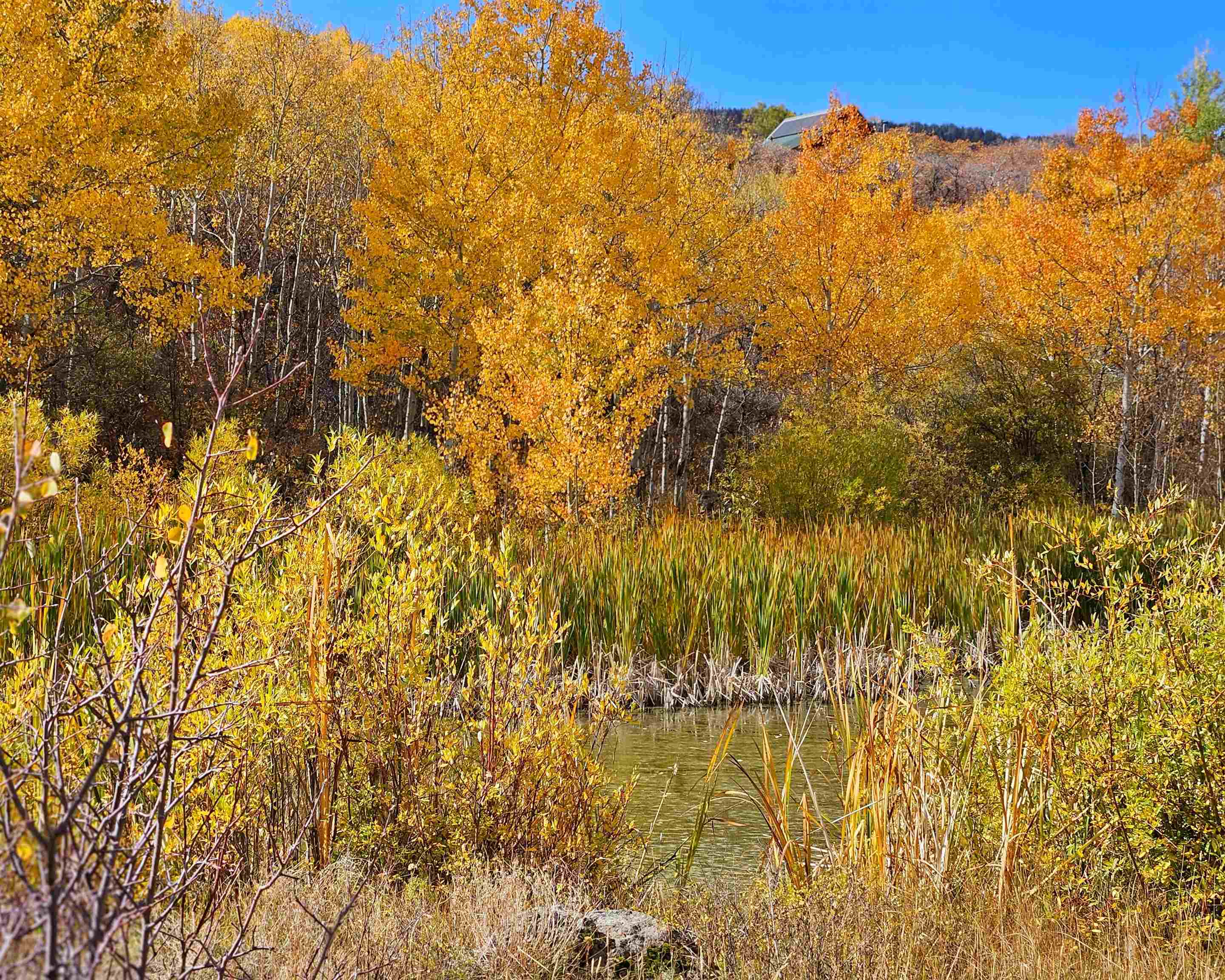 (parcel 6) Tbd Highway 65 Property Photo 2