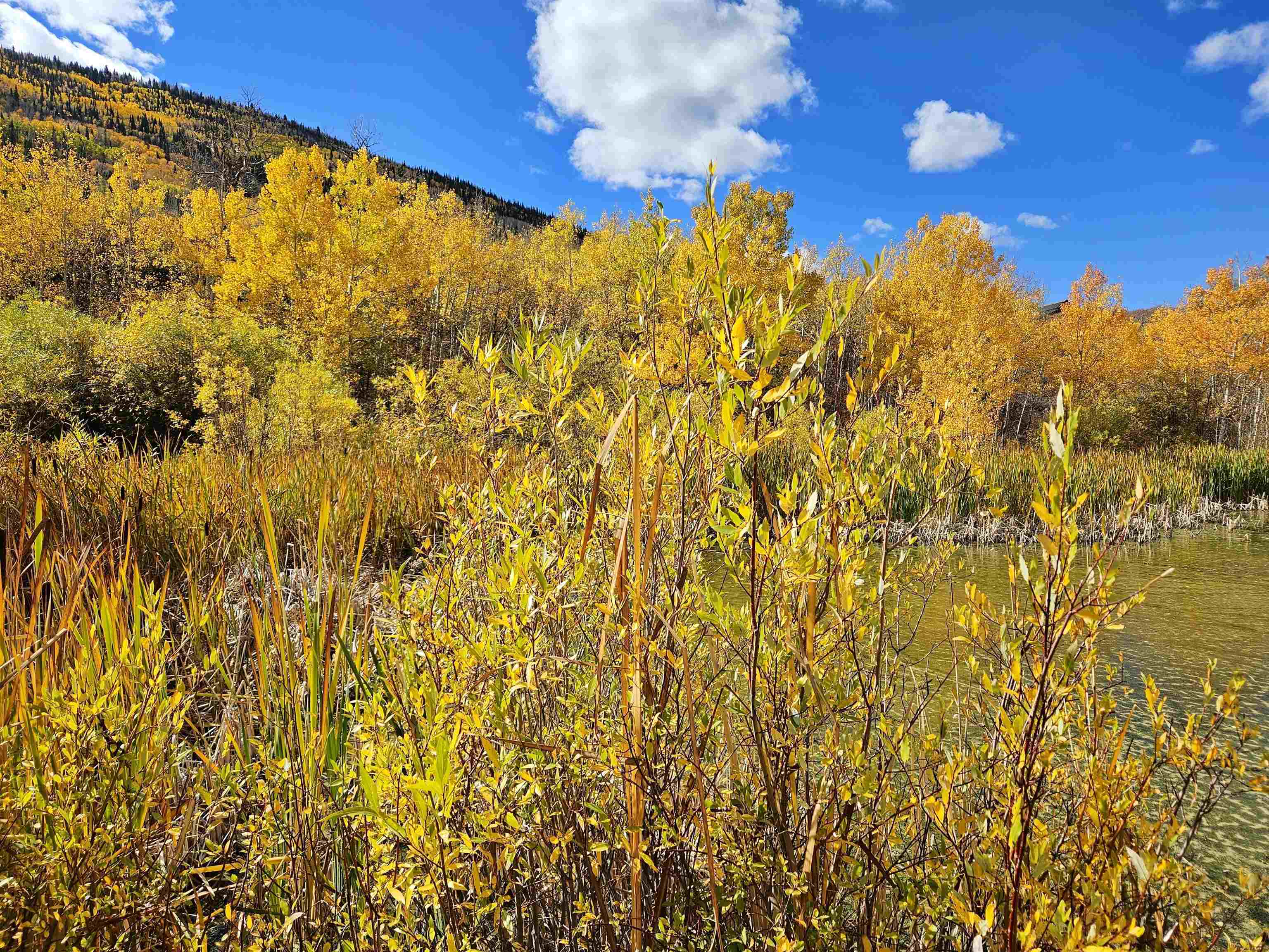(parcel 6) Tbd Highway 65 Property Photo 4
