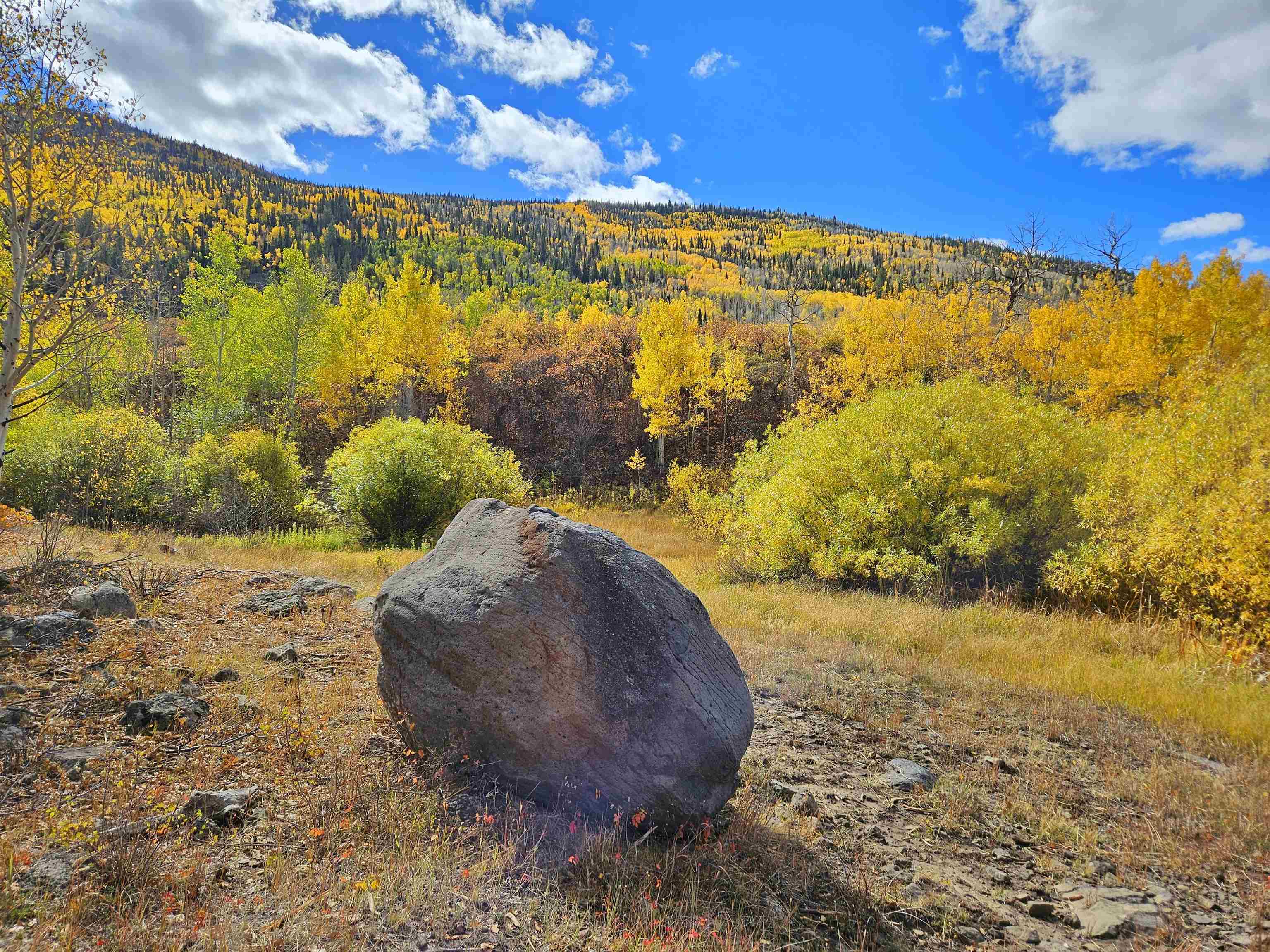 (parcel 6) Tbd Highway 65 Property Photo 5