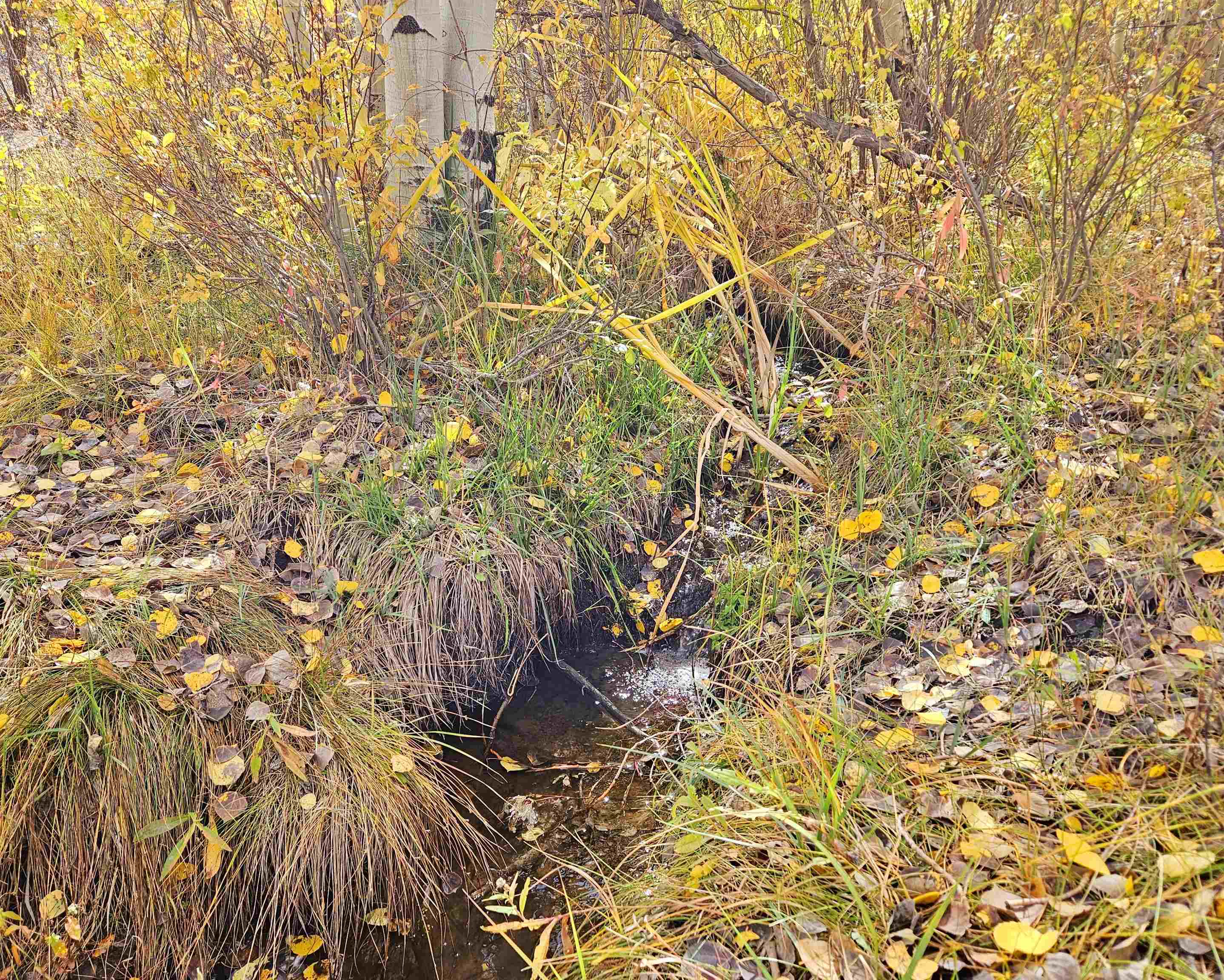 (parcel 6) Tbd Highway 65 Property Photo 6