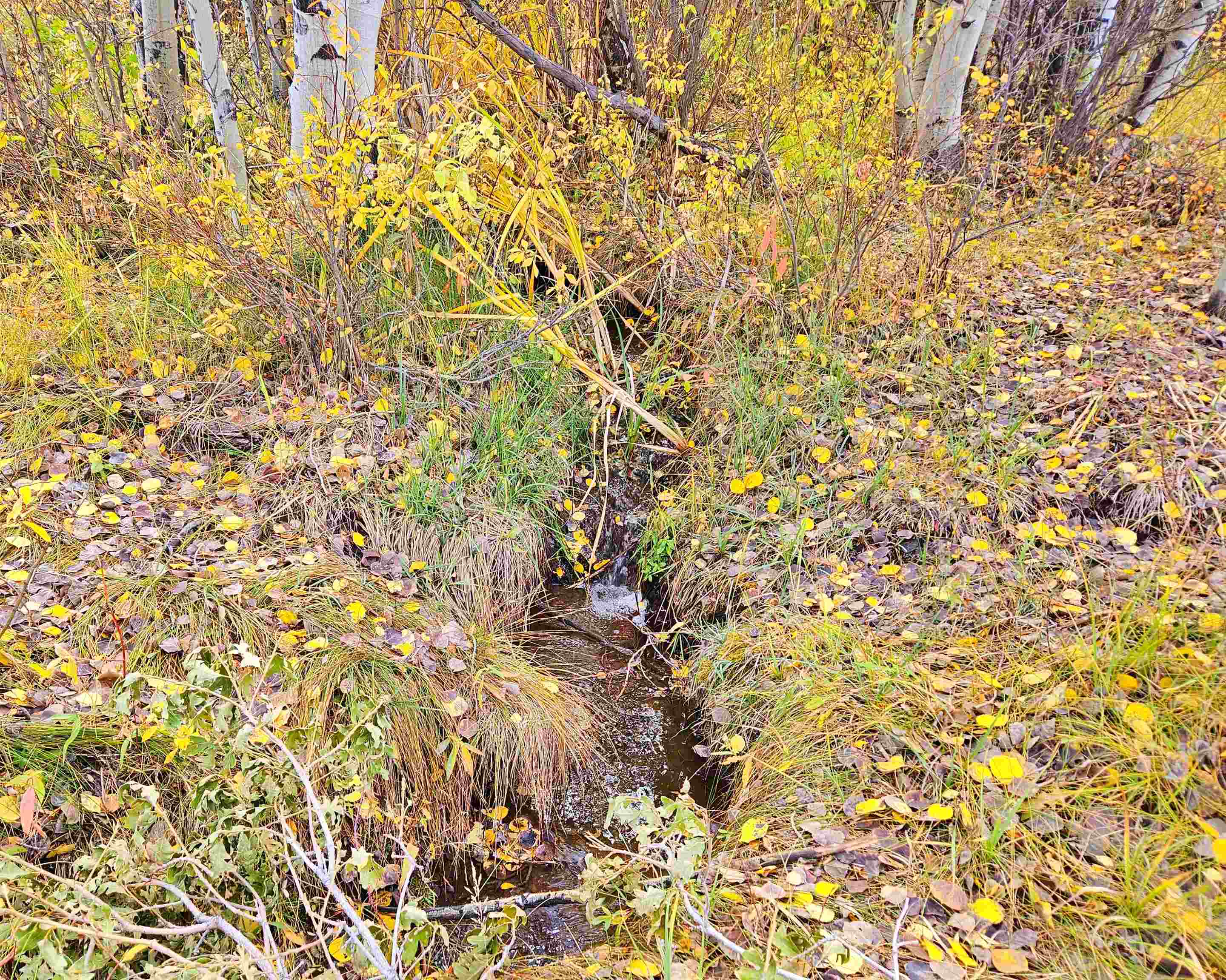 (parcel 6) Tbd Highway 65 Property Photo 7