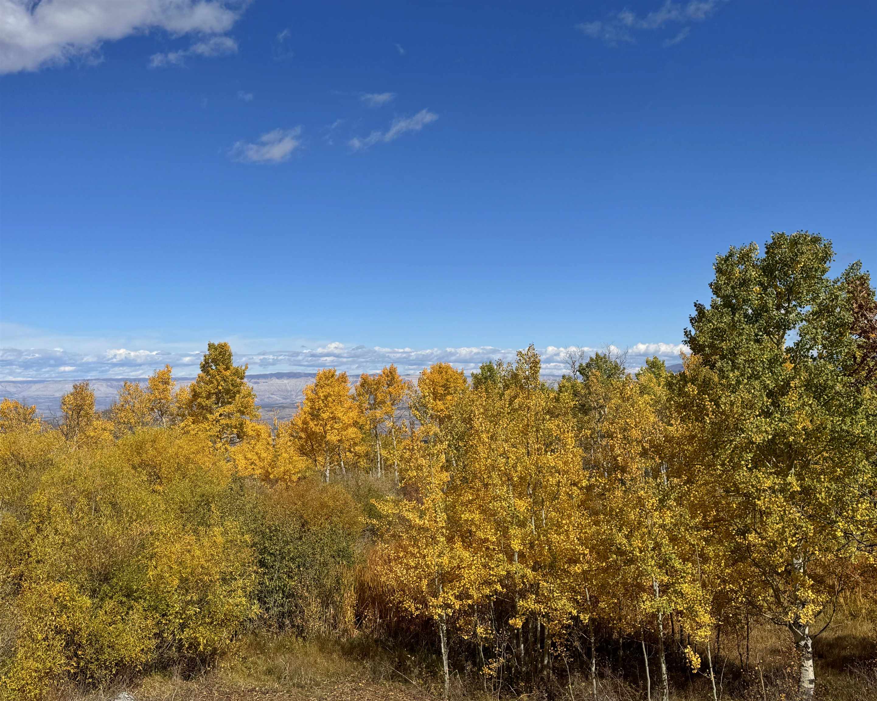(parcel 6) Tbd Highway 65 Property Photo 9