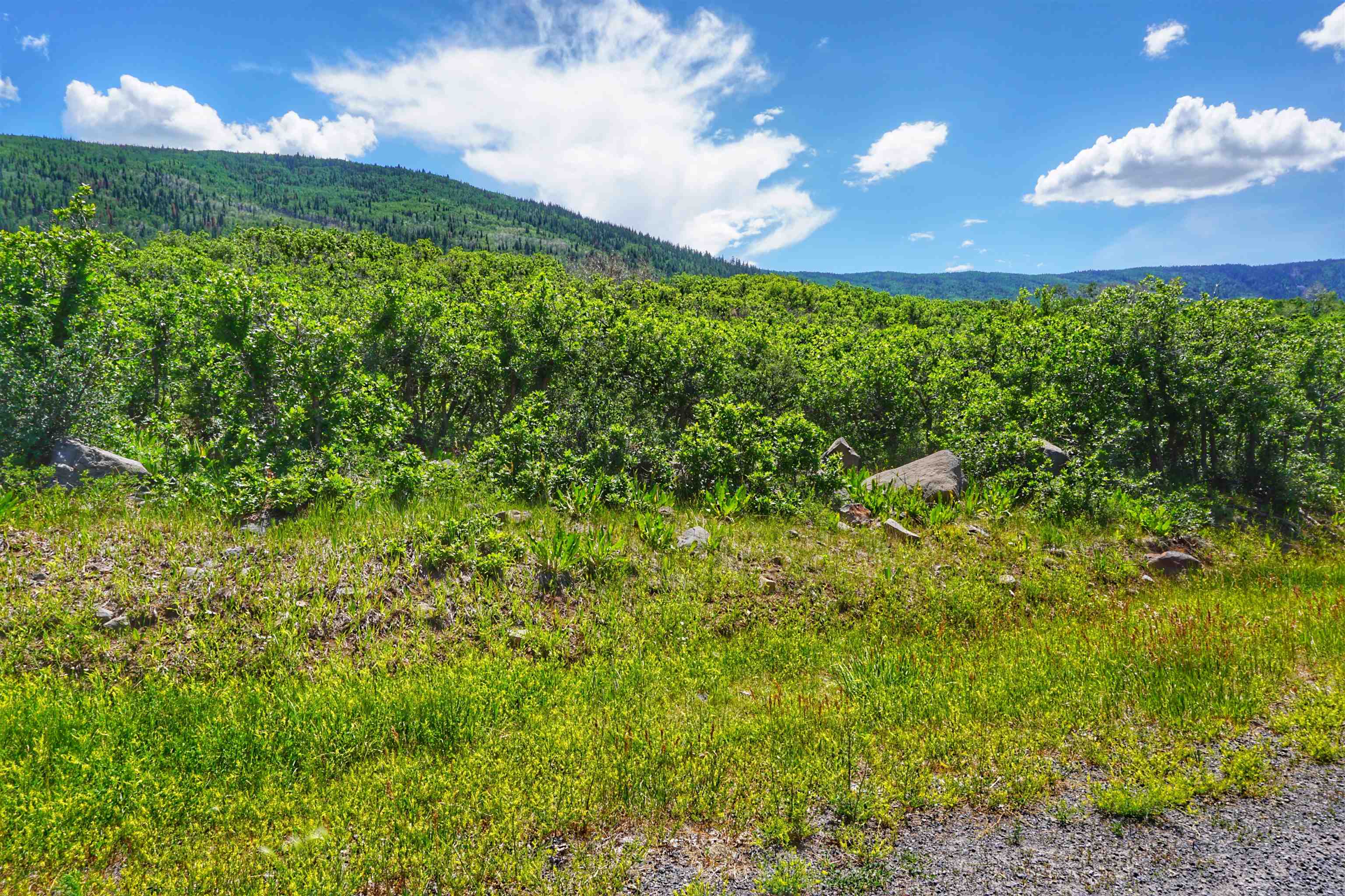 (parcel 6) Tbd Highway 65 Property Photo 10