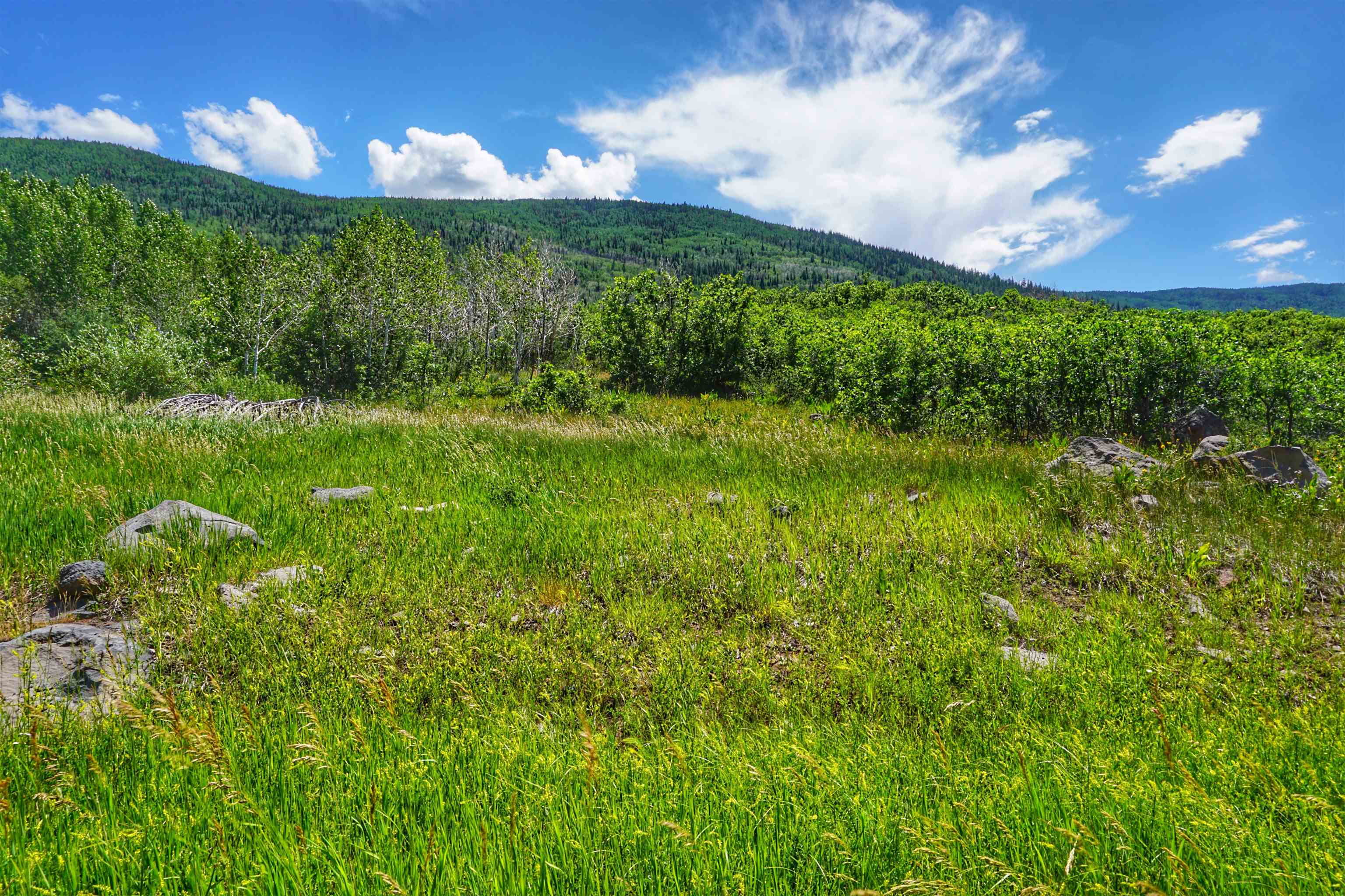 (parcel 6) Tbd Highway 65 Property Photo 11