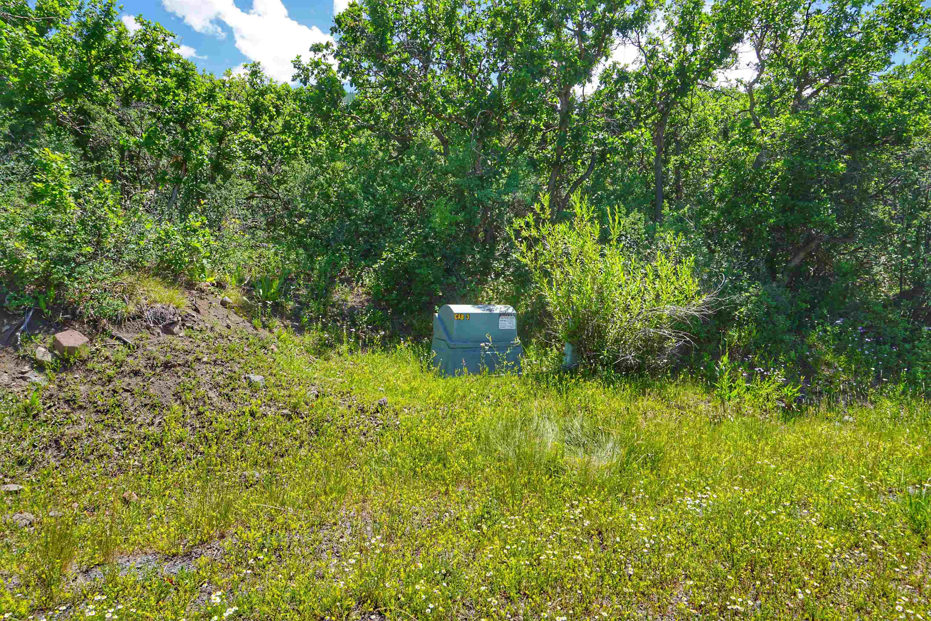(parcel 6) Tbd Highway 65 Property Photo 12