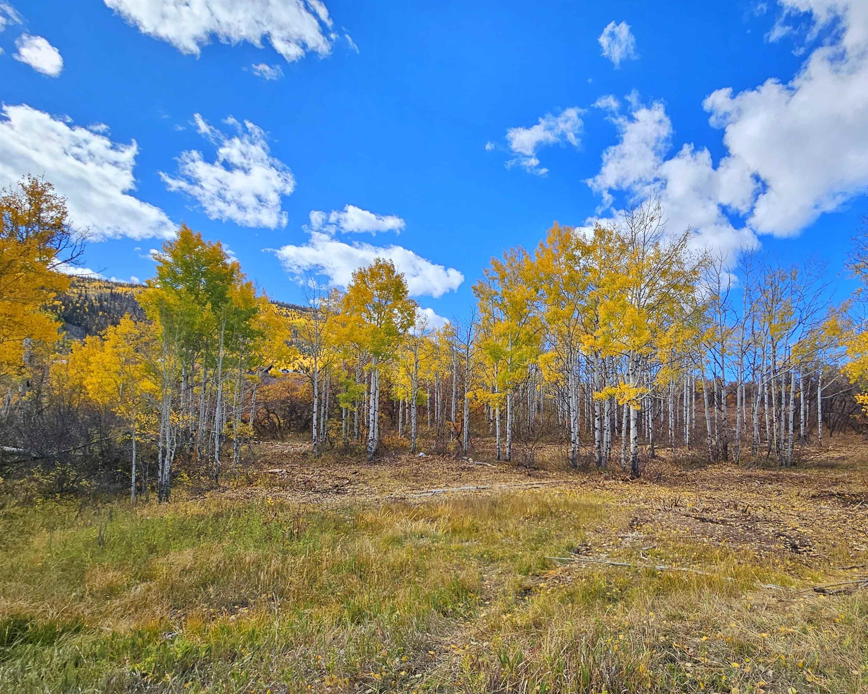 (parcel 7) Tbd Highway 65 Property Photo 2