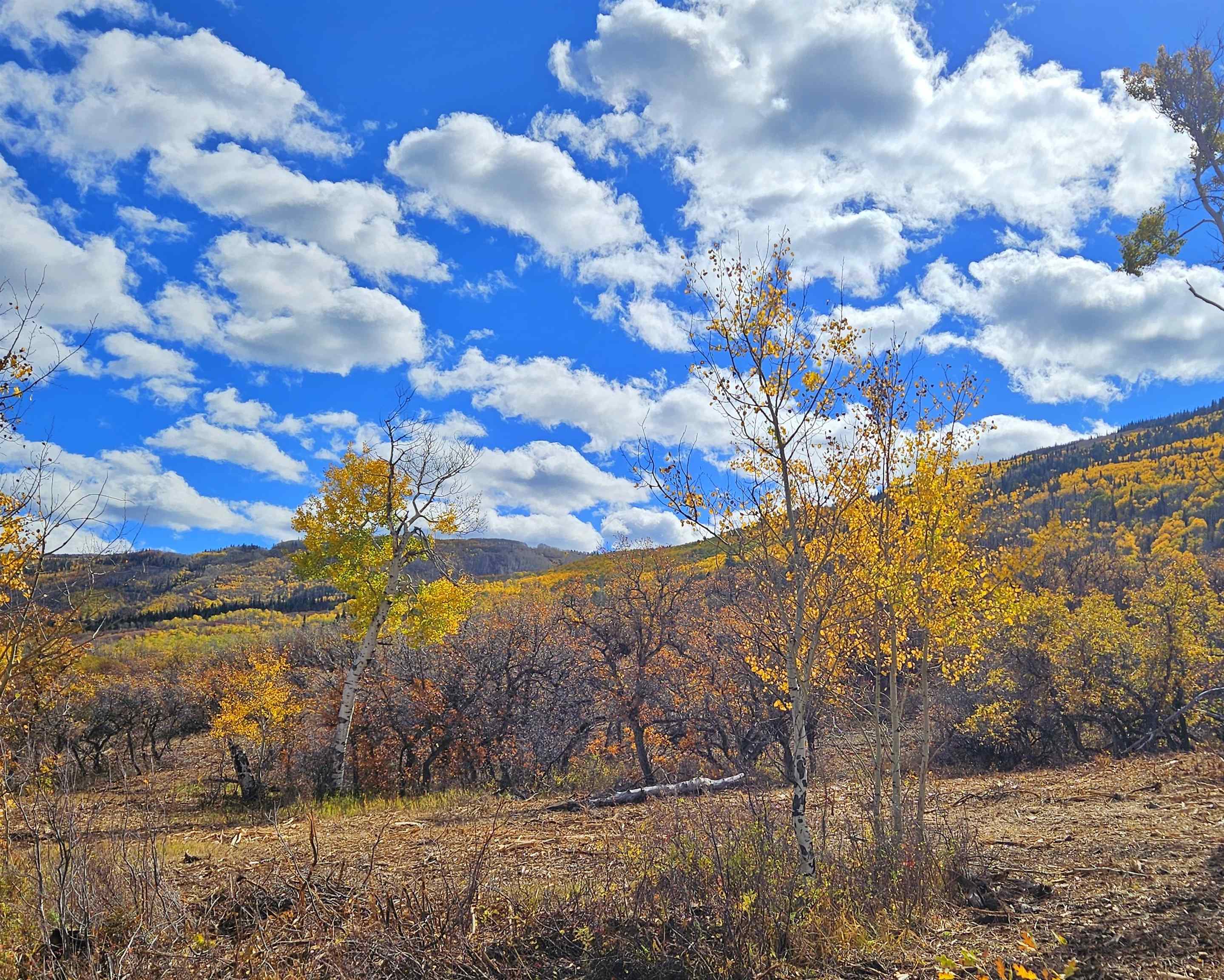 (parcel 7) Tbd Highway 65 Property Photo 4