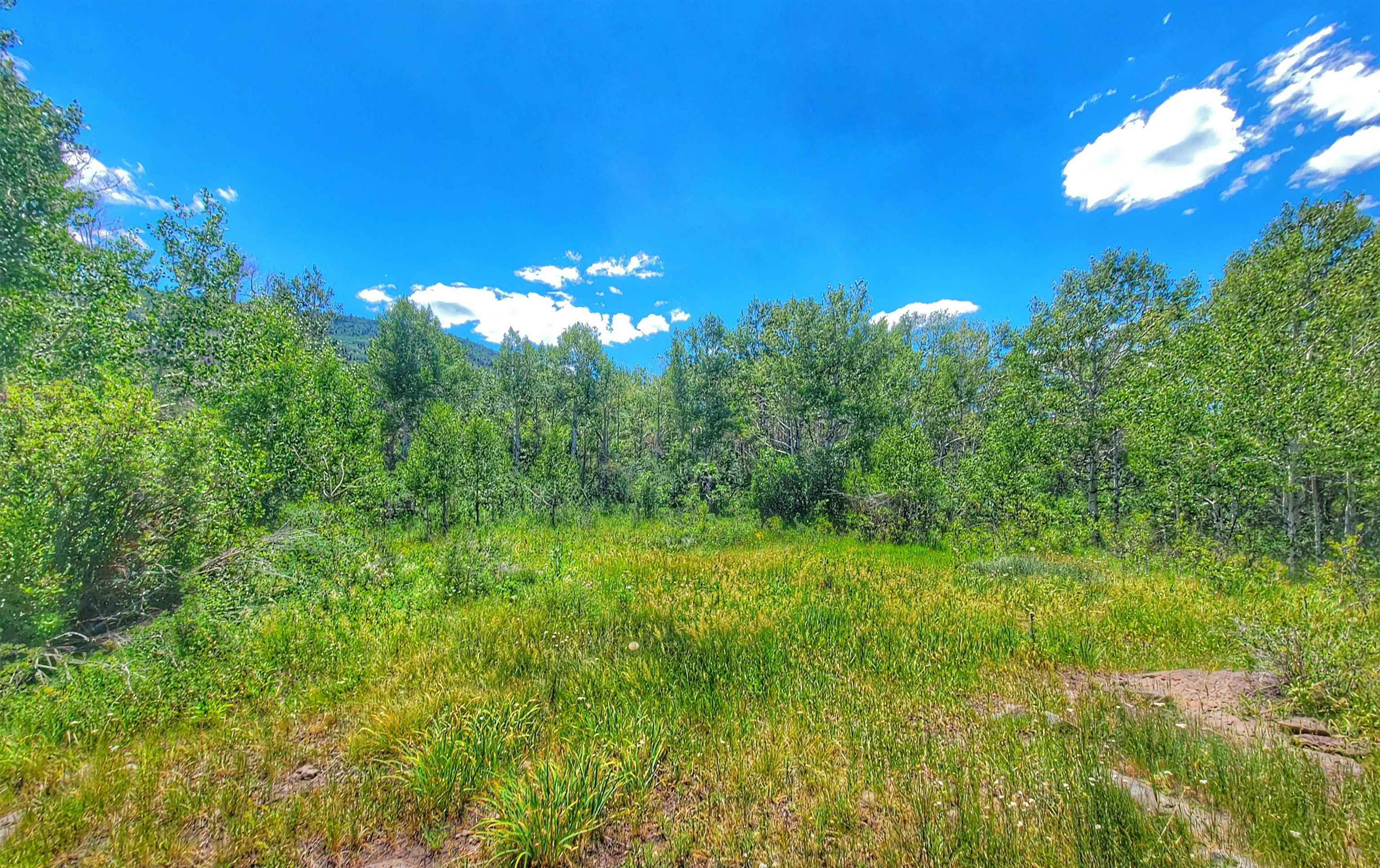 (parcel 7) Tbd Highway 65 Property Photo 5