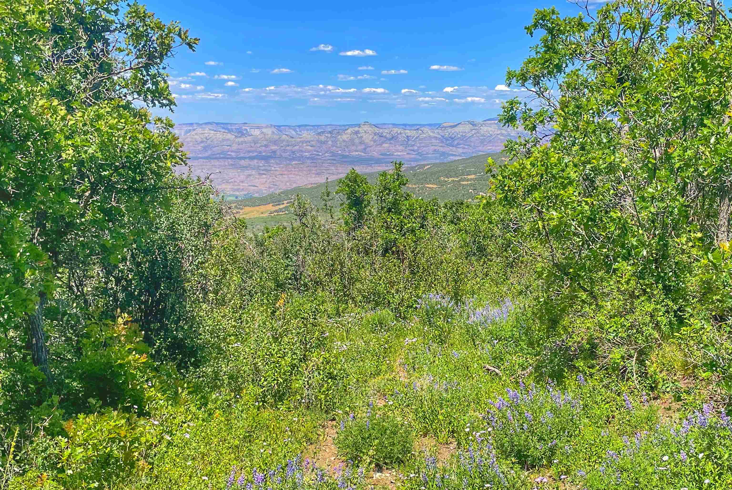 (parcel 7) Tbd Highway 65 Property Photo 6