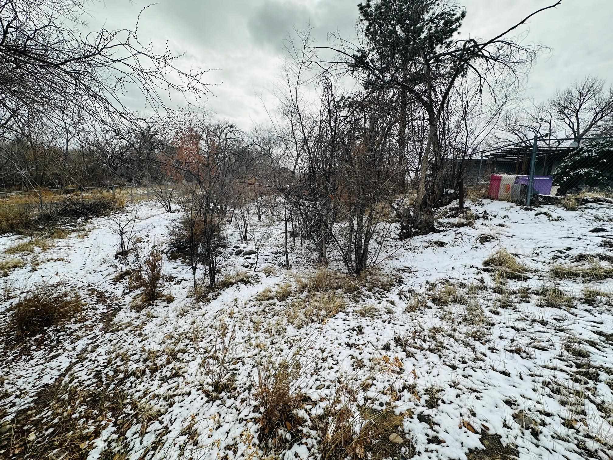 2918 Highway 50 Property Photo 15